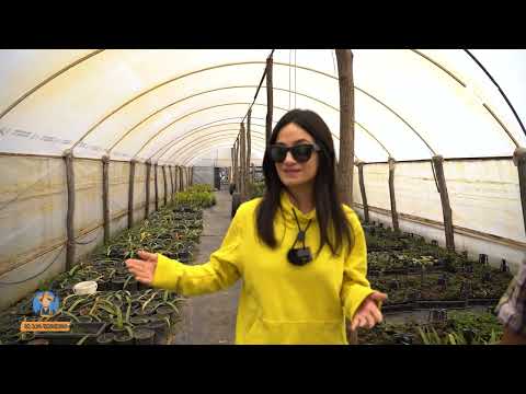 მე ვარ ფერმერი - სანერგე მეურნეობა