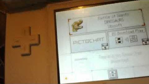 how to change the language on a DS