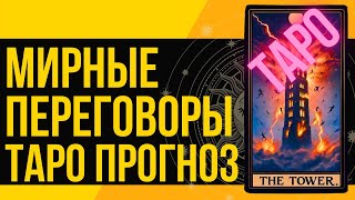 Мирные переговоры ТАРО Прогшнз