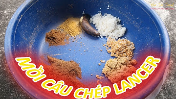 CÁCH LÀM MỒI LĂNG XÊ (LANCER) CÂU CÁ CHÉP MÙA ĐÔNG | HOA TRÀ TRAVEL