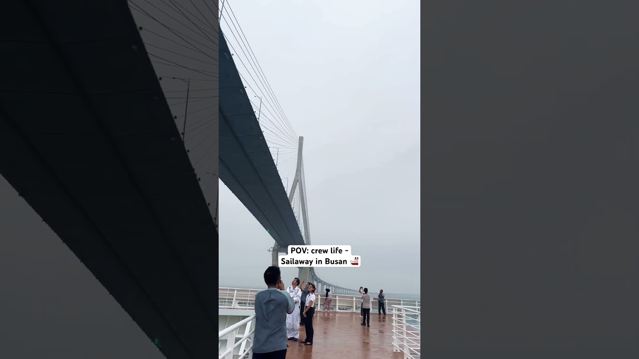 crew life 🚢 - Sailaway in Busan #ship #cruise #travel #hilusi