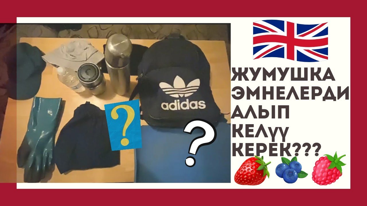 Англияга эмне алып келүү керек? #Англия #Лондон #Европа #Англияга жумуш ...