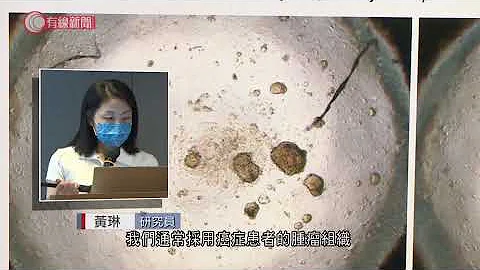 抽腫瘤細胞製「類器官」　生物醫藥公司新技術助癌患體外試藥　知藥效兼免副作用 - 20210628 - 港聞 - 有線新聞 CABLE News - 天天要聞