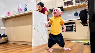 Monkey Bobo Gets Jealous And Angry When Mom Eats Instant Noodles Alone!