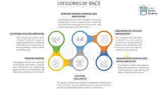 Business Analysis Classification Schema