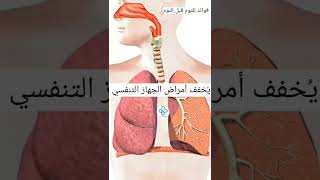 فوائد الثوم قبل النوم   #صحة #مفيدة #صحة_عامة #مصرر#السعودية #العراق #الإمارات#فائدة #المغرب