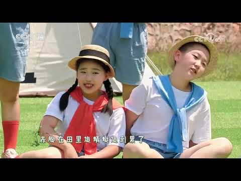 [音乐快递]《稻香》 表演：一铭阿卡贝拉组合|华语动漫