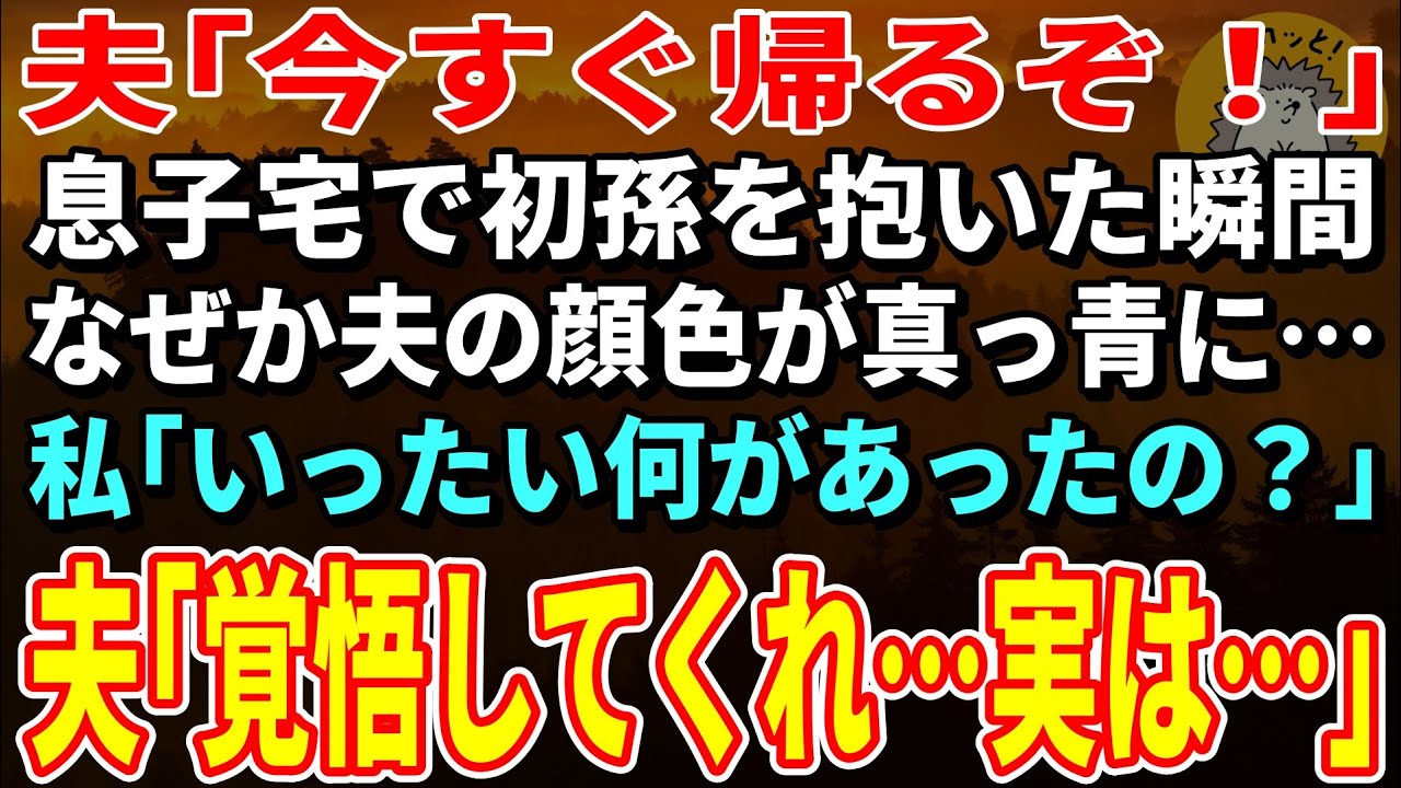 【スカッとする話】息子宅で初孫を抱いた瞬間に夫「今すぐ帰るぞ！」なぜか夫の顔色が真っ青に…私「いったい何があったの？」夫「覚悟してくれ…実は…」【朗読】【シニア】
