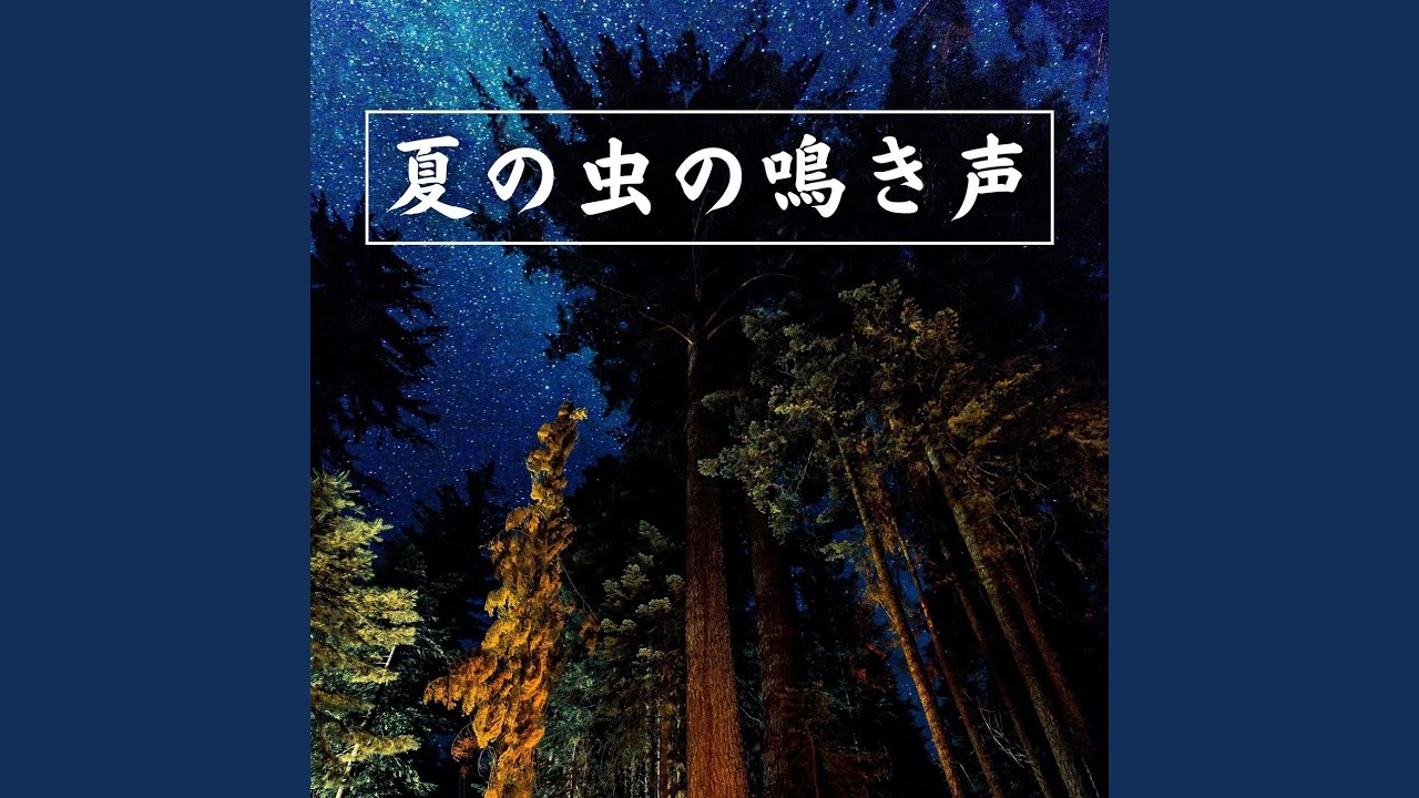 Regardez 野原を散歩する sur YouTube