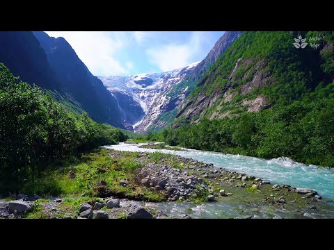 Calming Mountain River