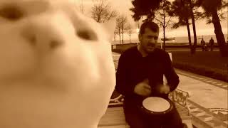 Preview 2 Vibing Cat Random Effects