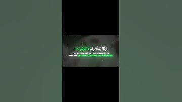 سوره انعام {61-62} شیخ بندر بلیله.