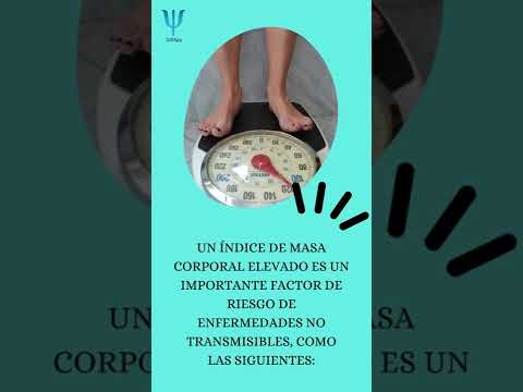 CUÁLES SON LAS