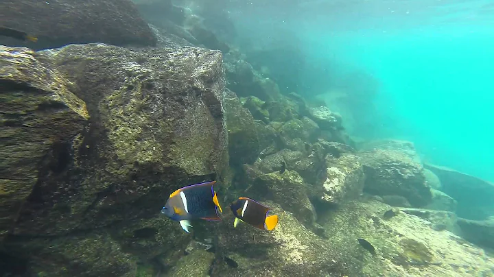 GOPRO202 edit2