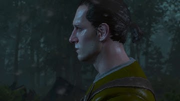 The Witcher 3 : MISSING IN ACTION