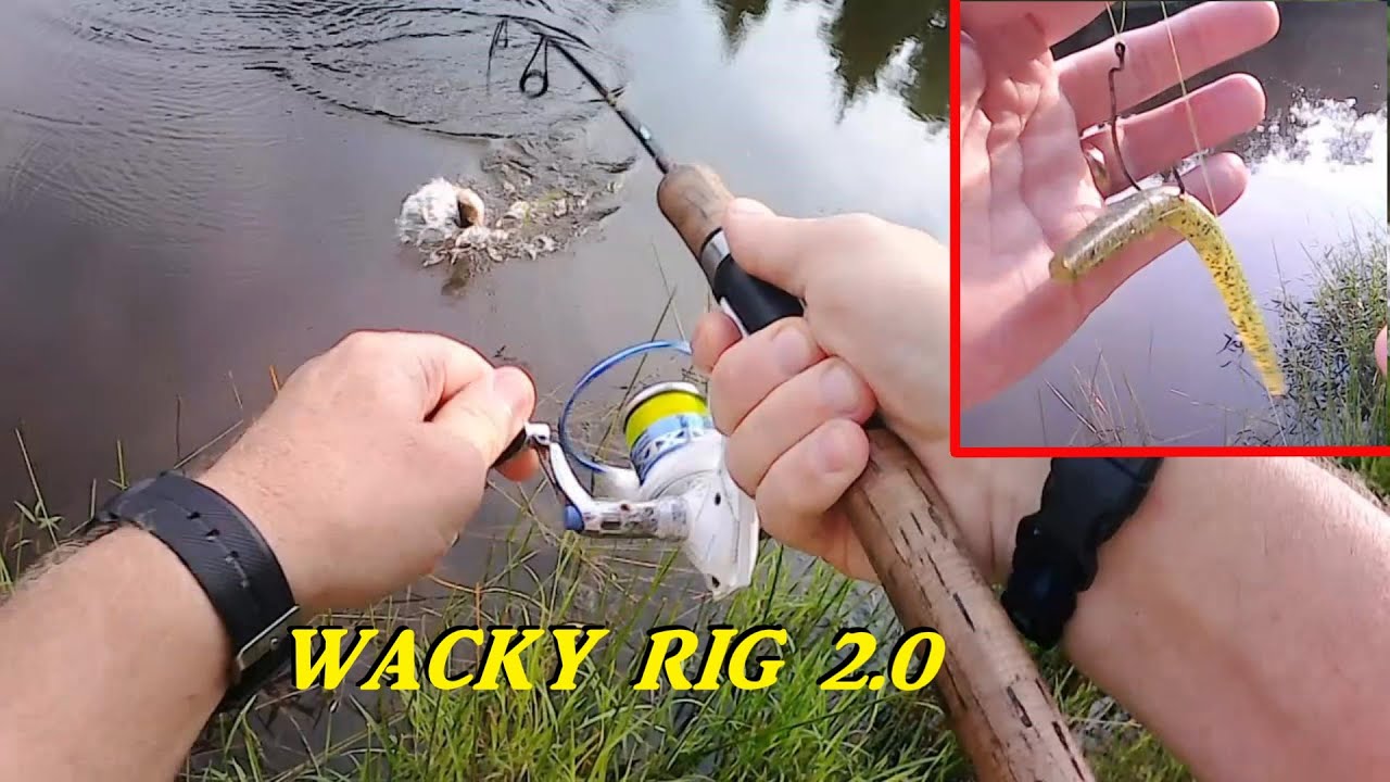 BASS FISHING – ANOTHER TEST OF THE WACKY RIG!!