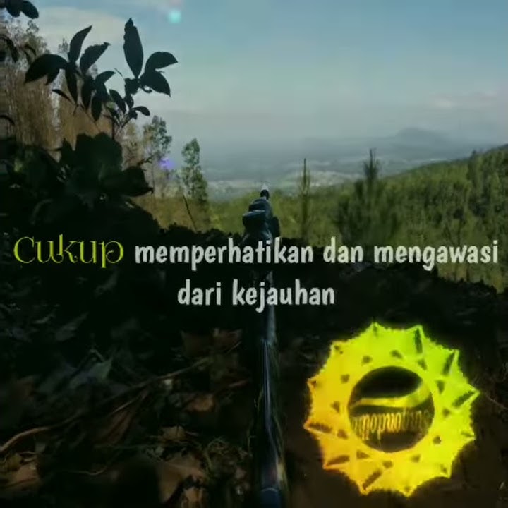 story wa bediller
