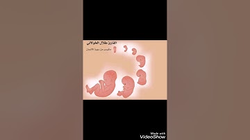 سورة الانسان . أرح قلبك تلاوه جميله  للقارئ طلال الخولاني