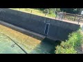 This hole is full of bass#fishing 
