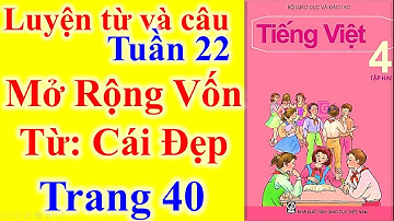 Tiếng Việt Lớp 4 Tuần 22 Luyện Từ Và Câu – Mở Rộng Vốn Từ Cái Đẹp – Trang 40
