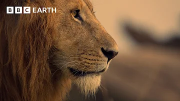 An Adventure Through Africa in 4K | BBC Earth