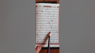 سورة الحج من آية (٥٦) إلى آية (٦٤) ص٣٣٩