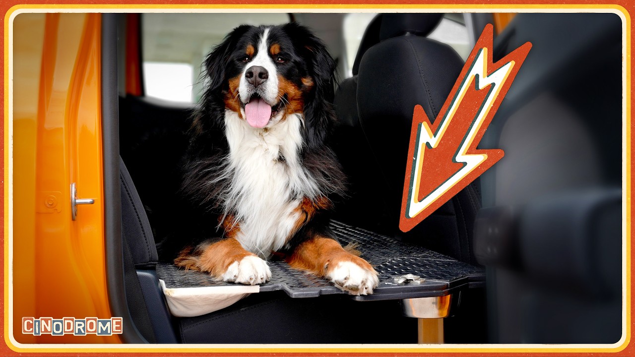I Built a Custom Truck Platform for Hugo the Dog