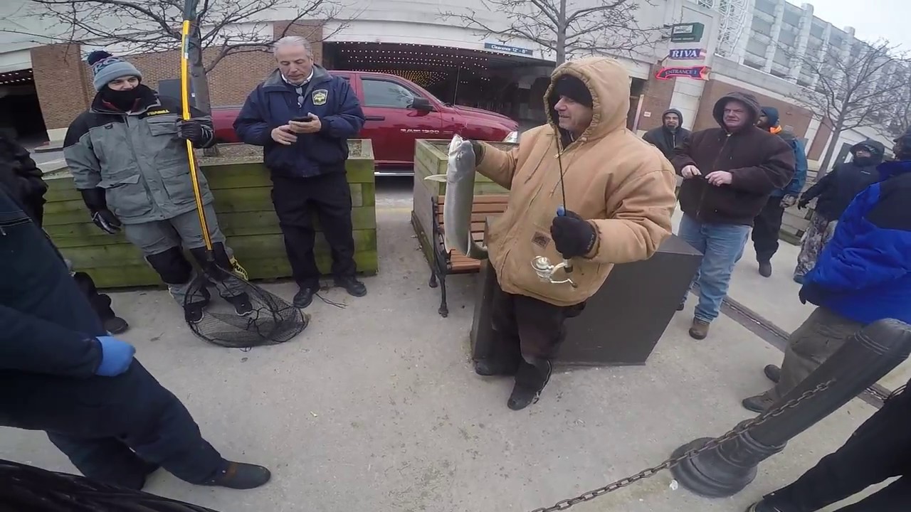 Lake Trout (Laker) Chicago Navy Pier Fishing
