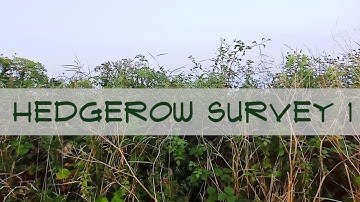 Hedgerow survey with fieldpapers