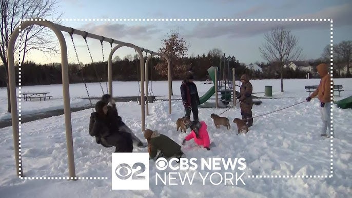 Families Across Tri State Area Enjoy Snow Day