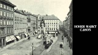 Alte fotos von Wien 1858-1912