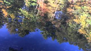 A Minute At Fosters Pond In Andover