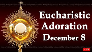 Powerful Eucharistic Adoration I Sunday December 8 2024 I 3.00 Pm