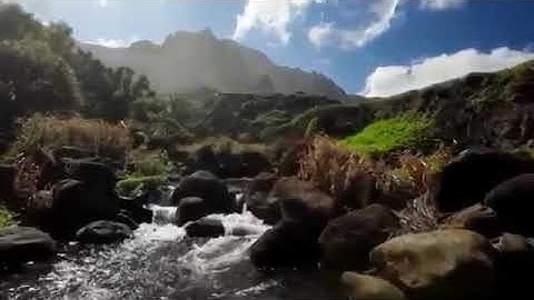 تلاوة هادئة لما تيسر من سورة الشعراء 1