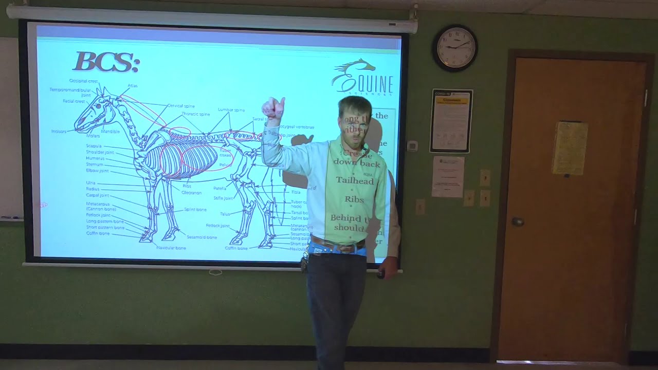 ANEQ 102 - Equine Body Condition Scoring (BCS) and Weight Assessment