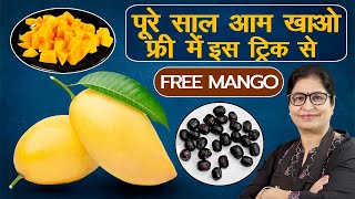 यह 1 चीज करने से मिलेंगे मौसमी फल पूरे साल | Mango/Jamun Storage Hacks | Amazing Fruit Storage Idea