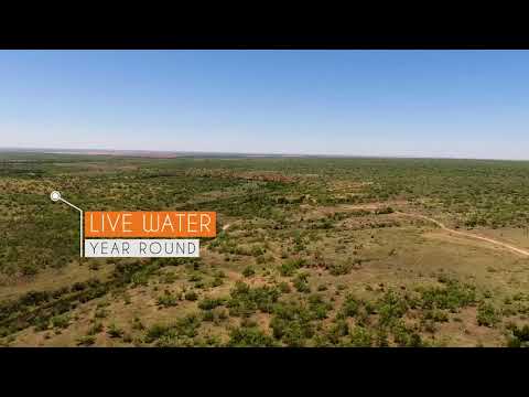 Video: 8 Differenze Tra Inverno Ed Estate In Texas - Matador Network