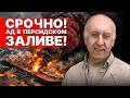 ШОК! АДСКИЙ УДАР США! ВАЙНШТЕЙН: ИРАН ОБЪЯВИЛ ВОЙНУ УКРАИНЕ! ТРАМПА УМОЛЯЮТ ОСТАНОВИТЬСЯ...