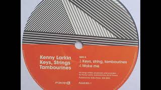 Kenny Larkin - Wake Me