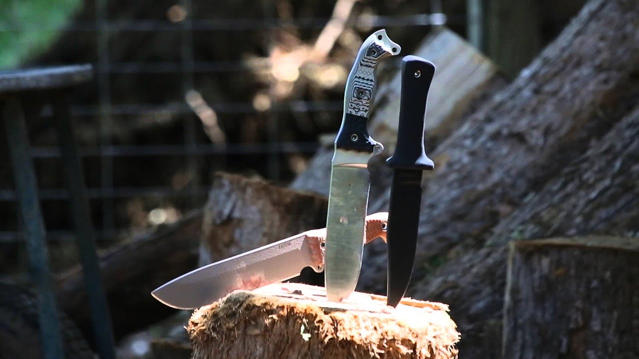 BUSSE FSH, ASH2, and MOABOLO