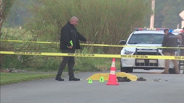 Man fatally struck by hit-and-run driver on Krome Avenue