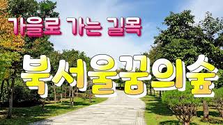 북서울꿈의숲 계절수목원 영상