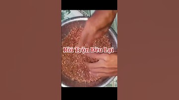 🎣Fishing - Mồi Câu Cá Trôi, Chép, Rô Phi, Hiệu Quả - Dễ Làm, Cho Mùa Đông #shorts