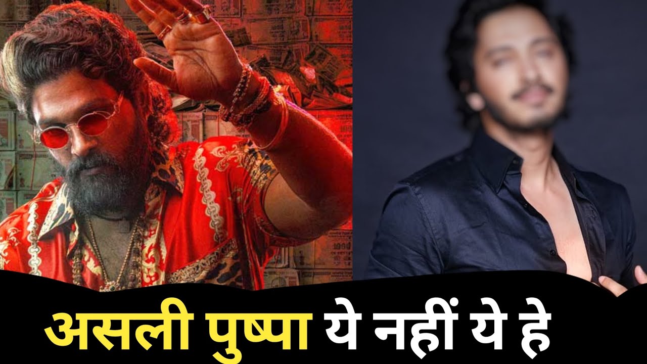 Asli Phuspa ye Nahi Ye He | Voice Over Hindi Artist Puspa 2 The Rule