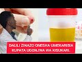 FAHAMU DALILI 7 ZINAZO ONESHA UMEKARIBIA KUPATA UGONJWA WA KISUKARI FAHAMU DALILI 7 ZINAZO ONESHA UMEKARIBIA KUPATA UGONJWA WA KISUKARI