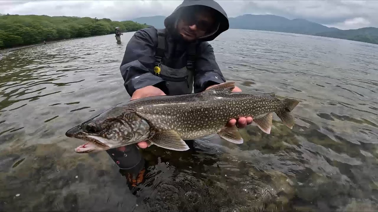 ２年ぶりに中禅寺湖行ってみたらレイク3本釣れちゃった