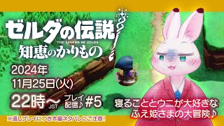 【ゼルダの伝説 知恵のかりもの】#5 寝ることとウニが大好きなふえ姫さまの大冒険♪