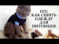 DIY: Одежда для мелких животных. Шитье по универальной выкройке