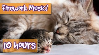 Music to Help Relax Your Cat from Fireworks, Loud noises, Parties - Help Frightened cat stay safe Music to Help Relax Your Cat from Fireworks, Loud noises, Parties - Help Frightened cat stay safe