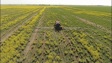 Nutrients Rx based on NDVI maps. PLM Software. Video#19. Canada